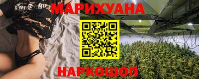 крисы Краснознаменск