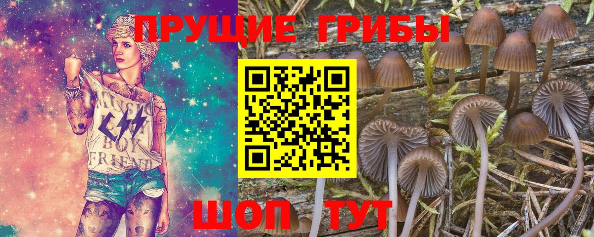 Кинель  наркотики  Вход с VPN  Псилоцибиновые грибы Magic Shrooms 