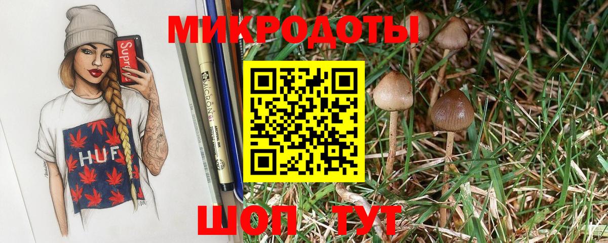 Галлюциногенные грибы GOLDEN TEACHER Кинель